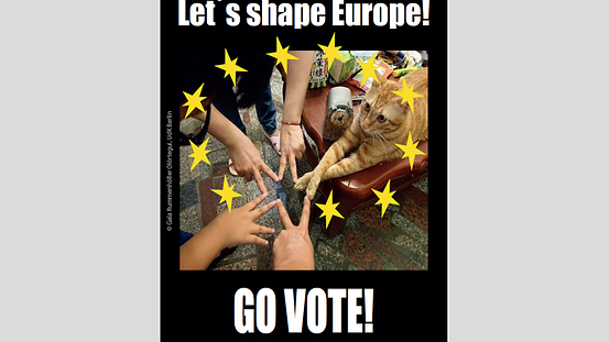 Eine unvollständige EU-Flagge mit elf Sternen. Der fehlende Stern wird aus den Fingern von Menschenhänden und den Pfoten einer Katze geformt. Dazu der Text: „Lets shape Europe! GO VOTE!“ 