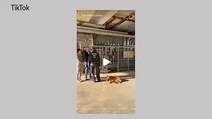Das Foto zeigt Kanzler Merz mit einem Hund.